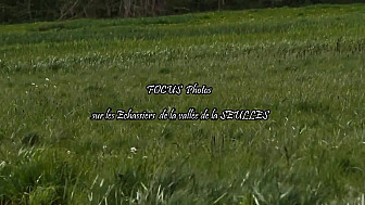 FOCUS PHOTOS