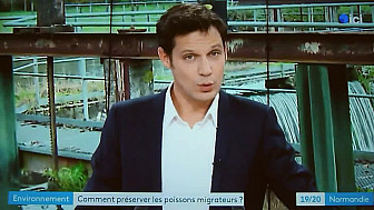 MIGRATION et REPRODUCTION  Partie 2