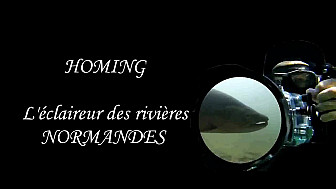 En Approche...  : HOMING l'Éclaireur de nos rivières de NORMANDIE #TruiteDeMer