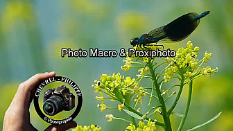 MACRO & PROXIPHOTOS