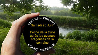 Tv Locale Nature Calvados : SALMO TRUTTA IN FOCUS