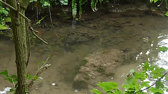 Acteurs Locaux Calvados - Diagnostic du milieu aquatique de la MUE 23 sept. 2026  (CALVADOS)