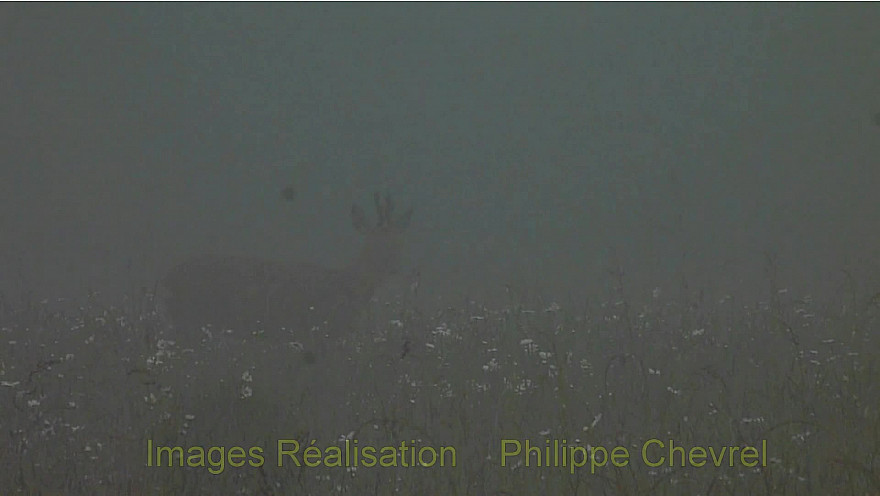 Après dissipation du brouillard