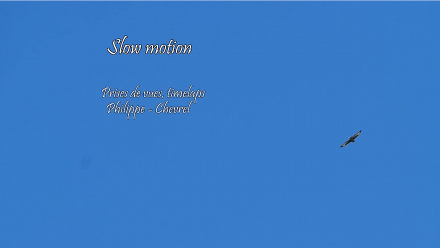 SLOW MOTION